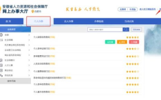 陕西养老查询个人账户查询,便捷服务助您了解养老保障